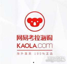 网易考拉最新爆料,揭秘跨境电商新动态与趋势  第2张